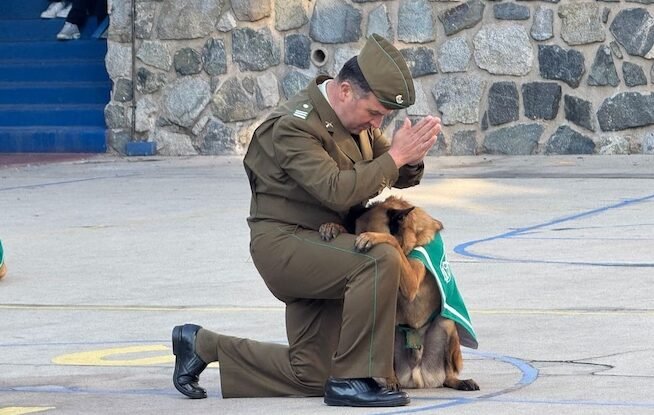 Convivencia, seguridad y aprendizaje: Patrulla Canina de Carabineros de Chile visitó nuestro colegio