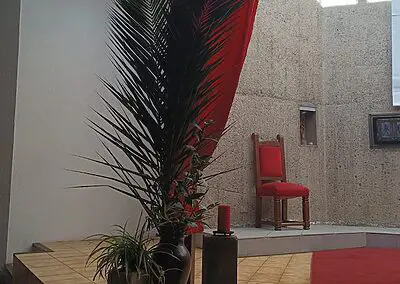 Ramos en Viña del Mar Monjas Francesas SSCC