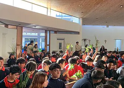 Ramos en Viña del Mar Monjas Francesas SSCC