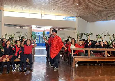 Ramos en Viña del Mar Monjas Francesas SSCC