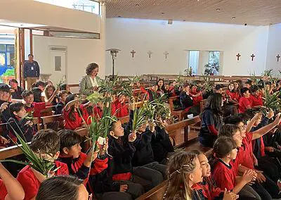 Ramos en Viña del Mar Monjas Francesas SSCC