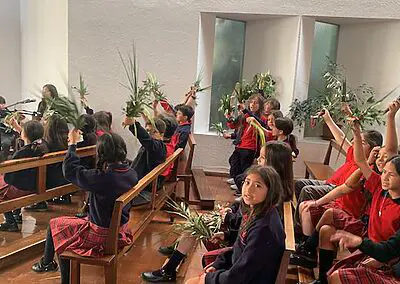 Ramos en Viña del Mar Monjas Francesas SSCC