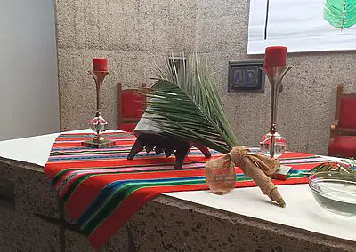 Ramos en Viña del Mar Monjas Francesas SSCC