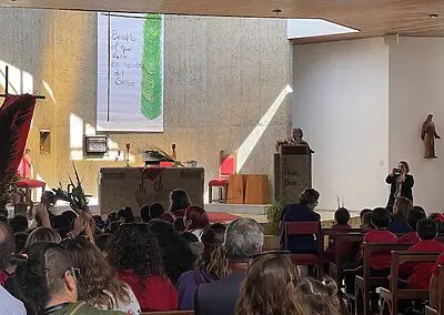 Ramos en Viña del Mar Monjas Francesas SSCC