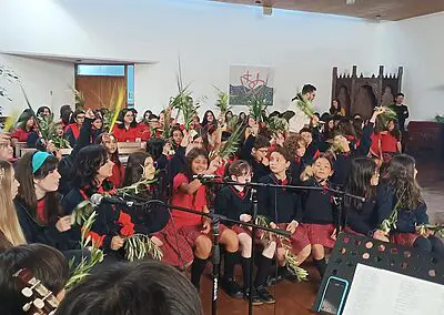 Ramos en Viña del Mar Monjas Francesas SSCC