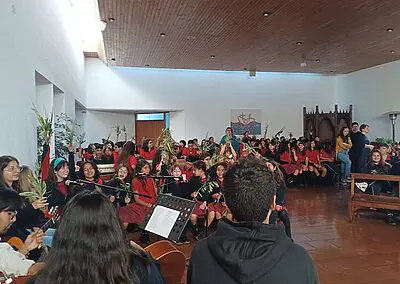Ramos en Viña del Mar Monjas Francesas SSCC