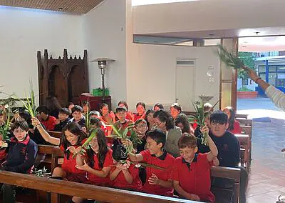 Ramos en Viña del Mar Monjas Francesas SSCC