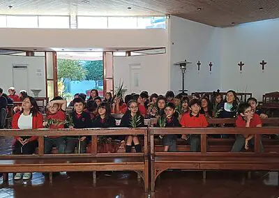 Ramos en Viña del Mar Monjas Francesas SSCC