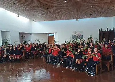 Ramos en Viña del Mar Monjas Francesas SSCC
