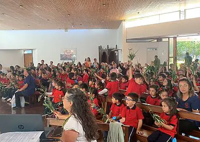 Ramos en Viña del Mar Monjas Francesas SSCC