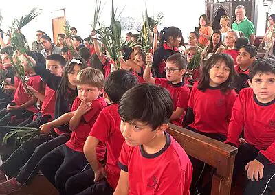 Ramos en Viña del Mar Monjas Francesas SSCC