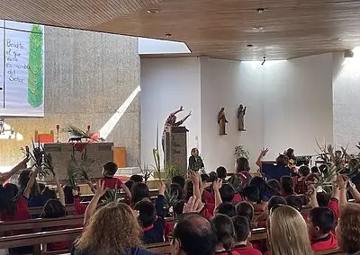 Ramos en Viña del Mar Monjas Francesas SSCC