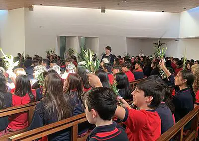 Ramos en Viña del Mar Monjas Francesas SSCC
