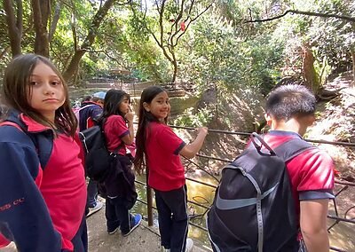 Visita Parque Tricao colegio sscc Viña del Mar Monjas francesas