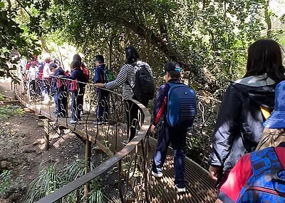 Visita Parque Tricao colegio sscc Viña del Mar Monjas francesas