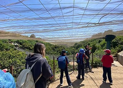 Visita Parque Tricao colegio sscc Viña del Mar Monjas francesas