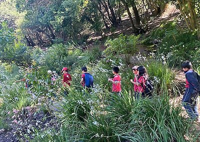 Visita Parque Tricao colegio sscc Viña del Mar Monjas francesas