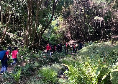 Visita Parque Tricao colegio sscc Viña del Mar Monjas francesas