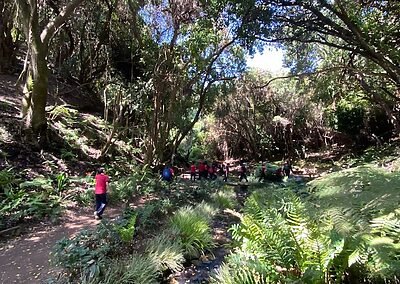 Visita Parque Tricao colegio sscc Viña del Mar Monjas francesas